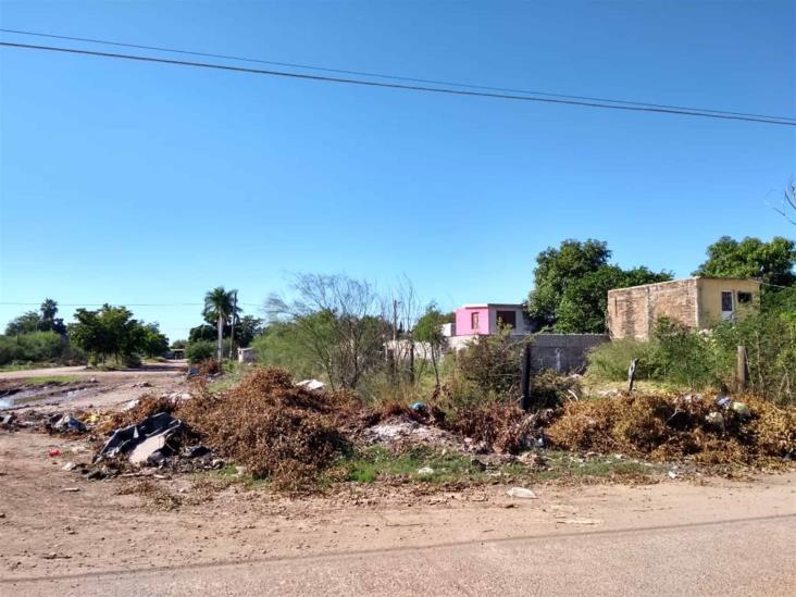 Ayuntamiento identifica 20 lotes baldíos que representan un peligro