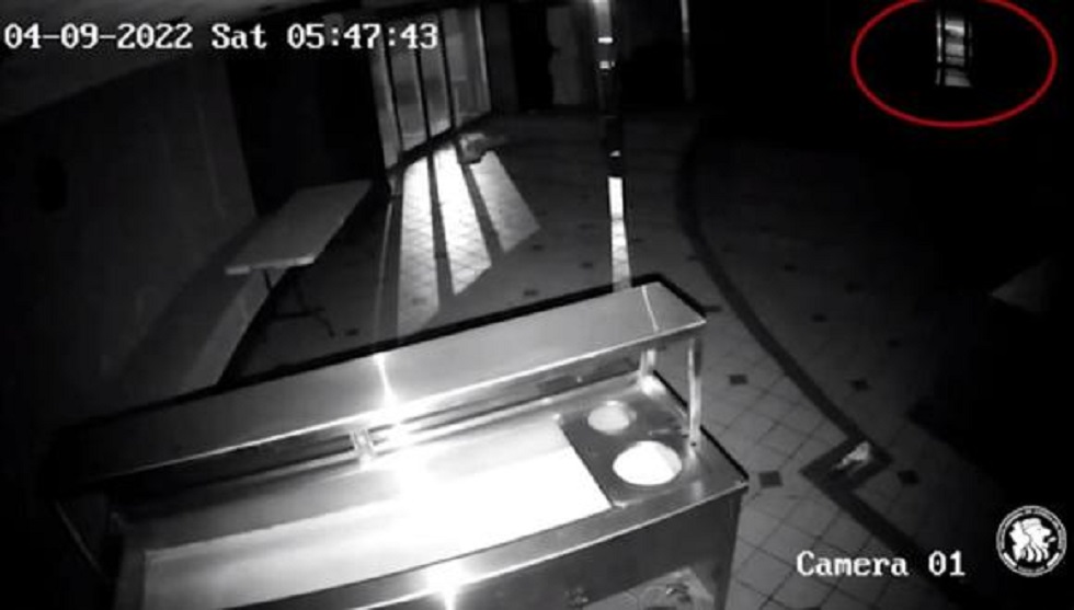 Revelan nuevos detalles del caso de Debanhi, fiscalía analiza video de silueta, que se asemeja de Debanhi, acercarse a un auto