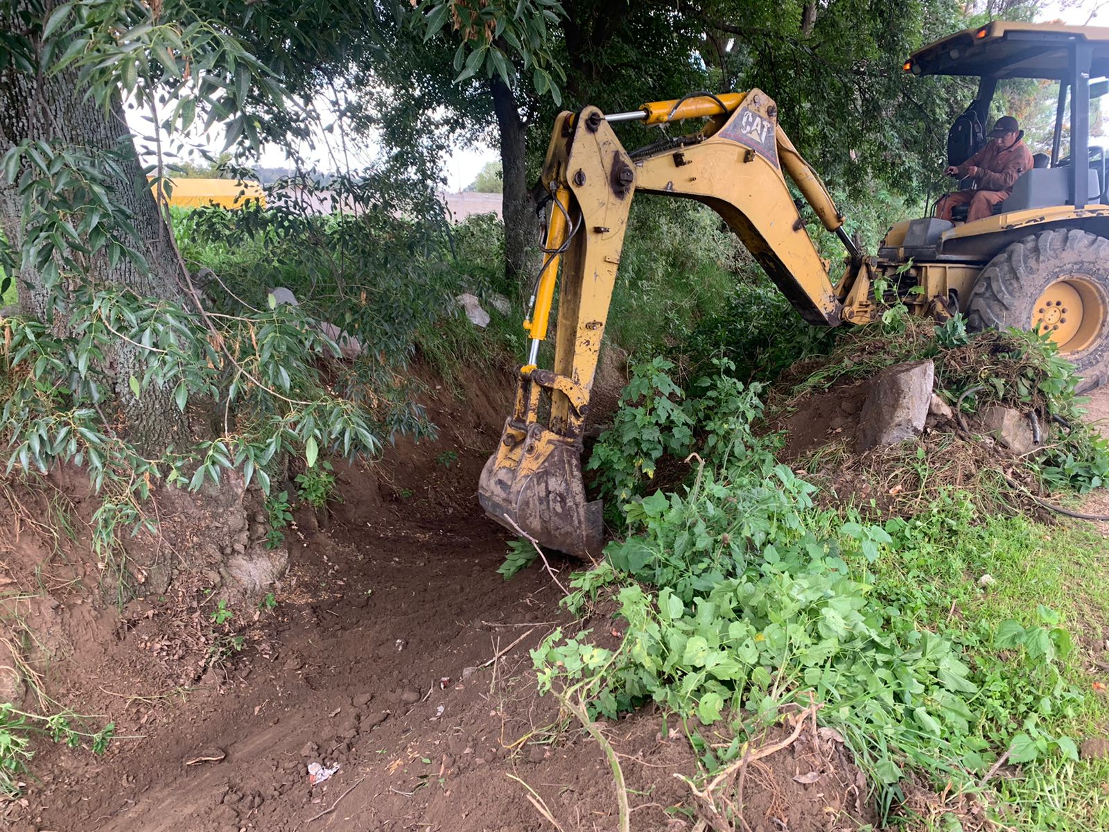 Trabajos de limpieza y mantenimiento se realizan en la Laguna de Acuitlapilco