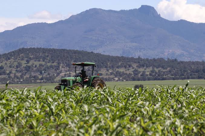 Alistan cambios en reglas de operación en programas de apoyo al campo