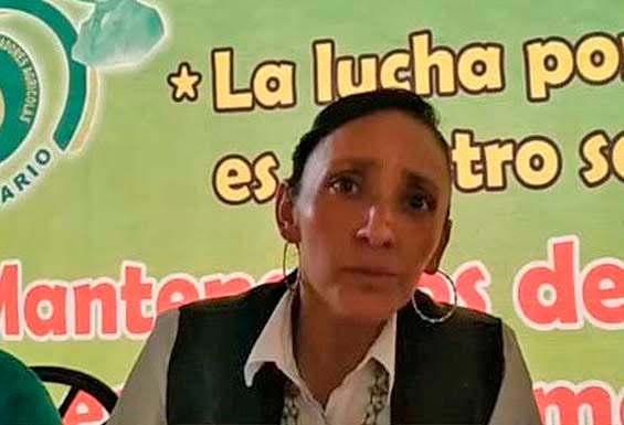 Quiere UNTA verdadera universalidad en apoyos