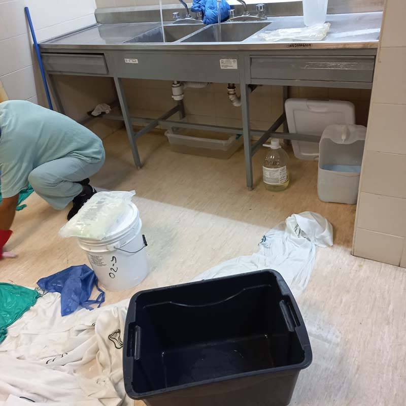 Evidencia Genoveva Huerta deterioro del IMSS La Margarita