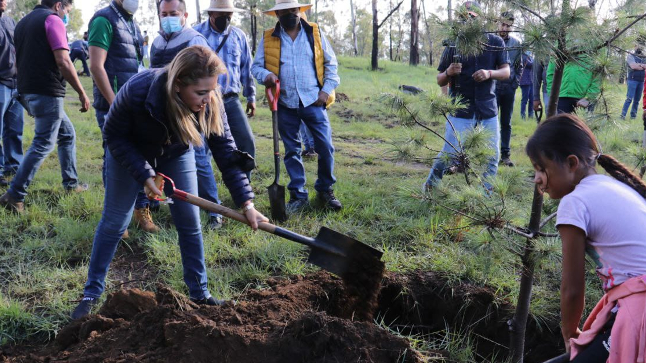 Gobierno de San Pedro Cholula efectuó una jornada de reforestación en el Cerro Zapotecas 