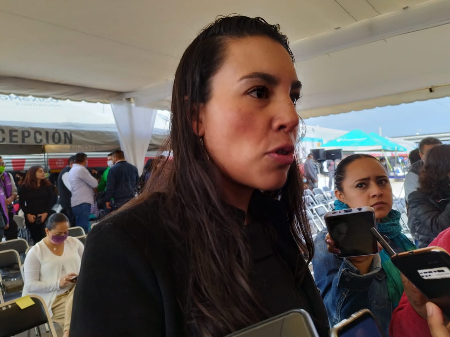 Admite turismo no alcanzar meta en derrama económica por luciérnagas