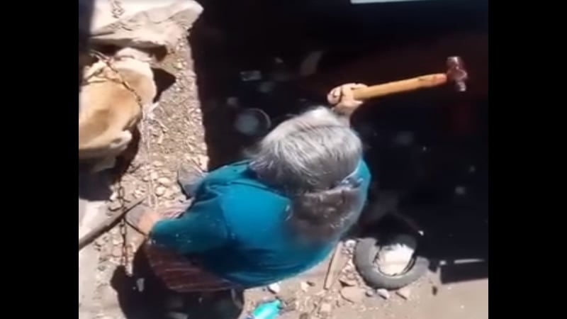 Ciudadanos exigen justicia para perrito que fue asesinado cruelmente a martillazos, por una mujer (Video)