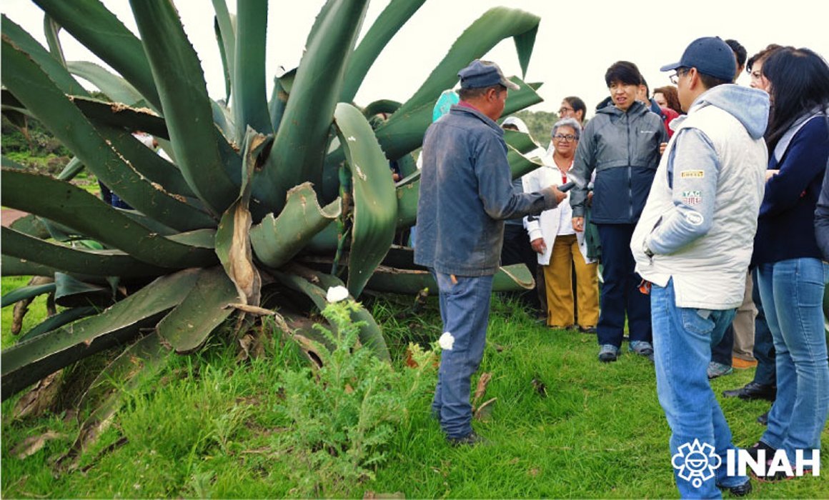 Turismo biocultural en Tlaxcala evita migración y defiende territorio