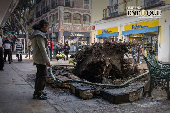 Barbosa pide investigación por caída de árbol que provocó muerte a menor de edad en el Centro Histórico