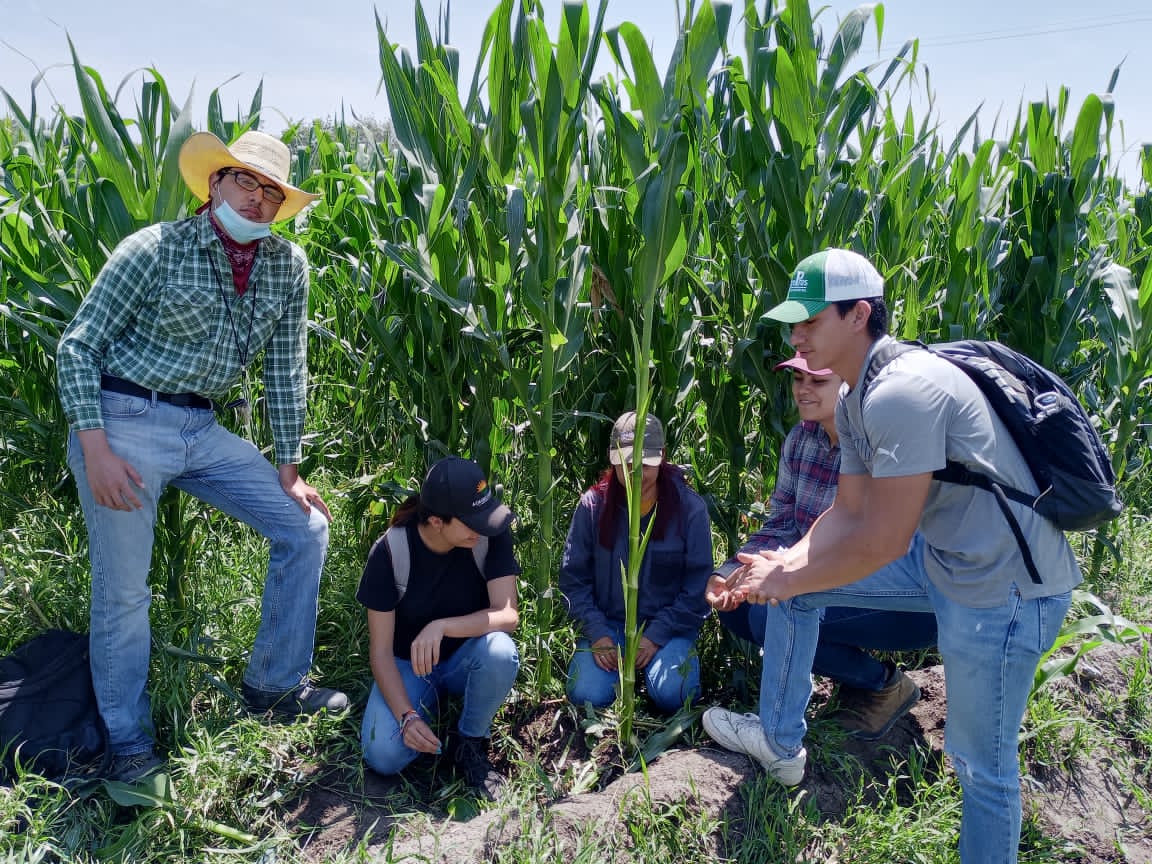 Convoca SIA a participar como expositores en Feria Del Conocimiento, Ciencia e Innovación Tecnológica para el Campo
