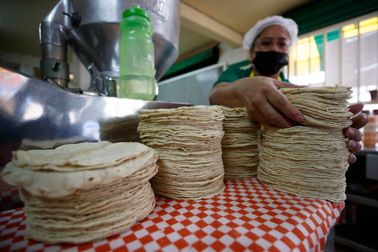 Precio del kilo de tortillas en Guerrero llega a 30 pesos