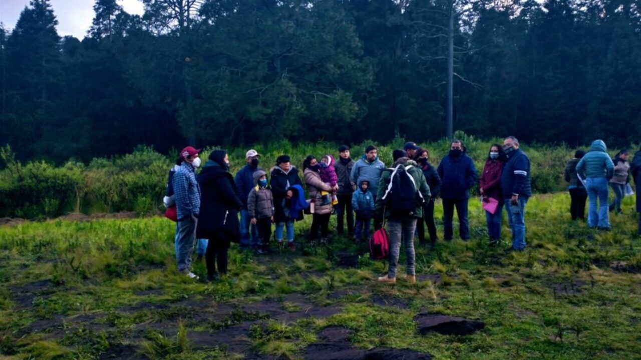 Arriban al Santuario De Las Luciérnagas más de 10 mil visitantes durante el fin de semana