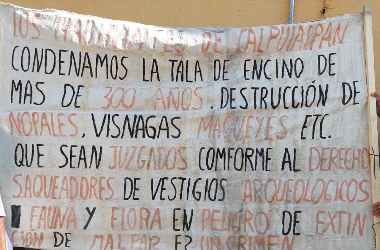 Piden a AMLO detener ecocidio en Calpulalpan