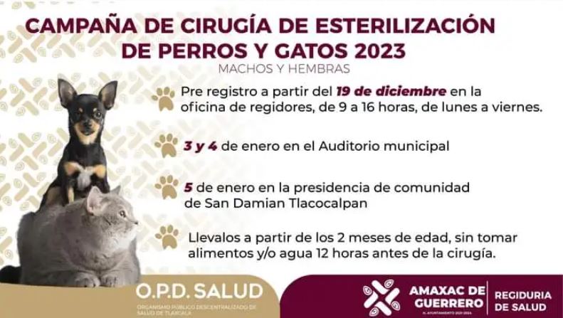 Ayuntamiento de Amaxac llevará a cabo campaña de esterilización en mascotas al iniciar el 2023