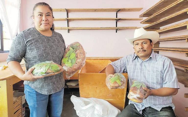 Ayuntamiento de Huactzinco iniciará programa de reforestación de zapote blanco