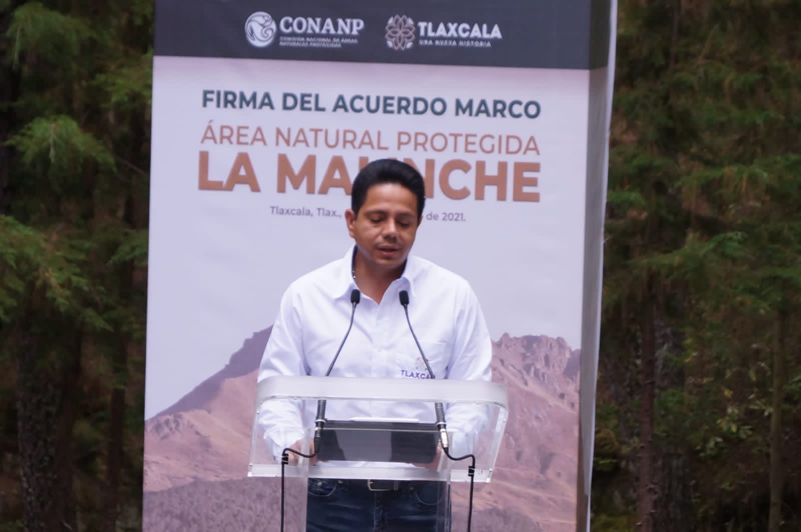 Contenida plaga del Gusano descortezador en Tlaxcala