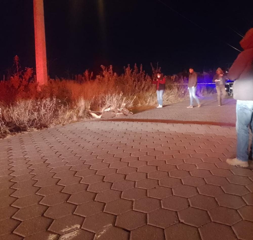 Semidesnudo y maniatado hallan a hombre muerto, en plena capital del estado 