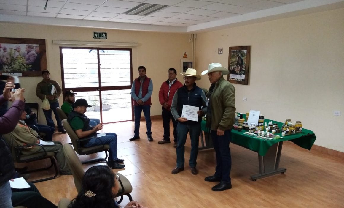 Refrenda gobierno de Tlaxcala compromiso con apicultores
