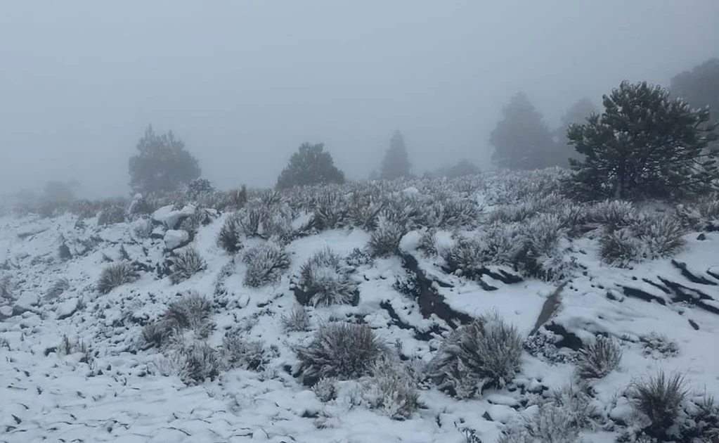 Se espera caída de nieve y aguanieve en el noroeste y norte de México