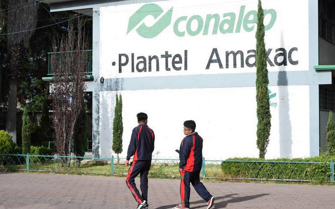 Docentes del Conalep denuncian salarios precarios y cero aumentos