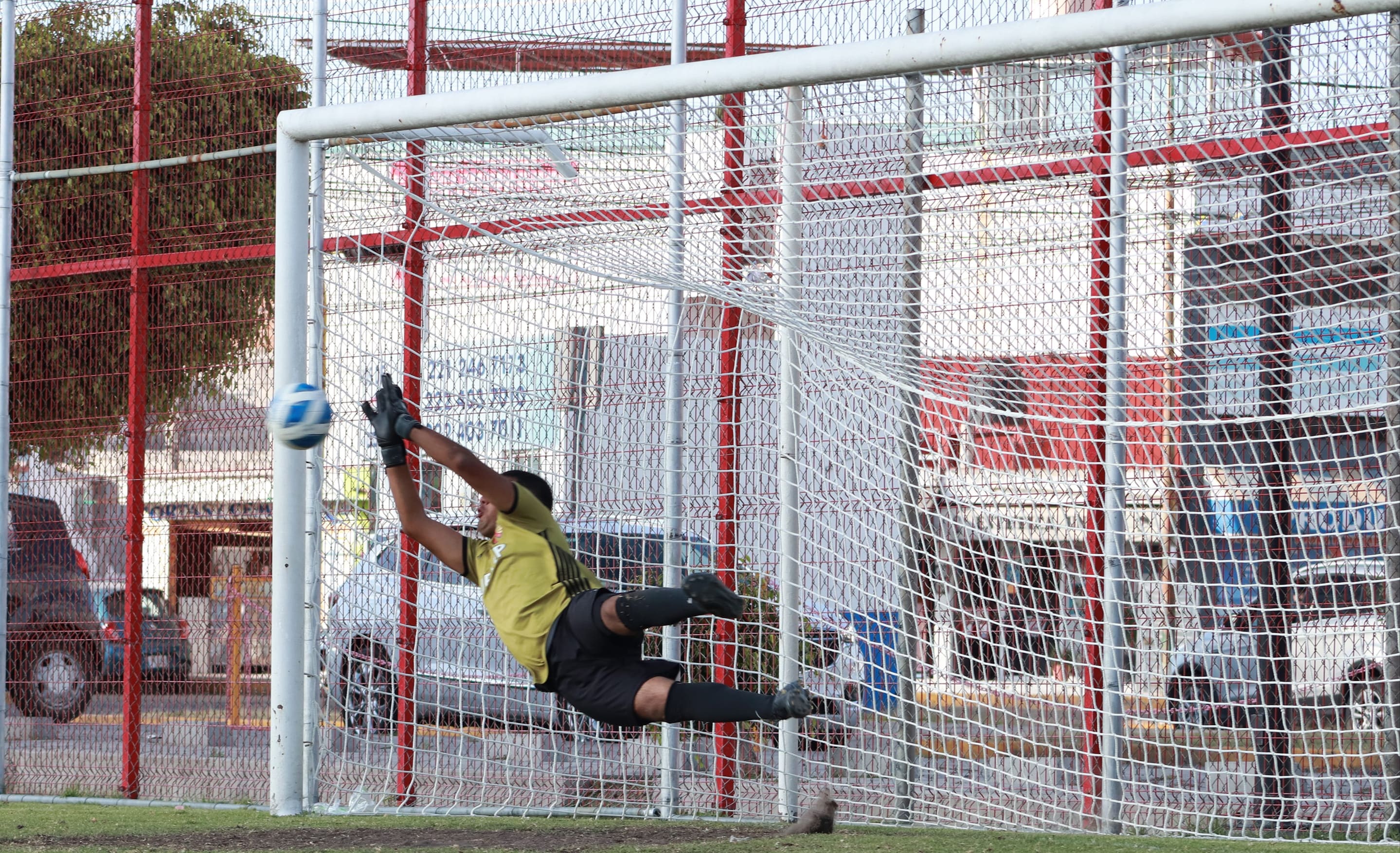 Águilas UPAEP es líder en la Conadeip 