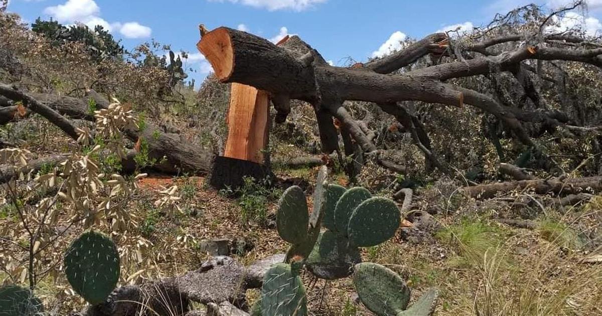 Colectivo 16 de octubre busca apoyo del gobierno de Tlaxcala para finalizar con el ecocidio