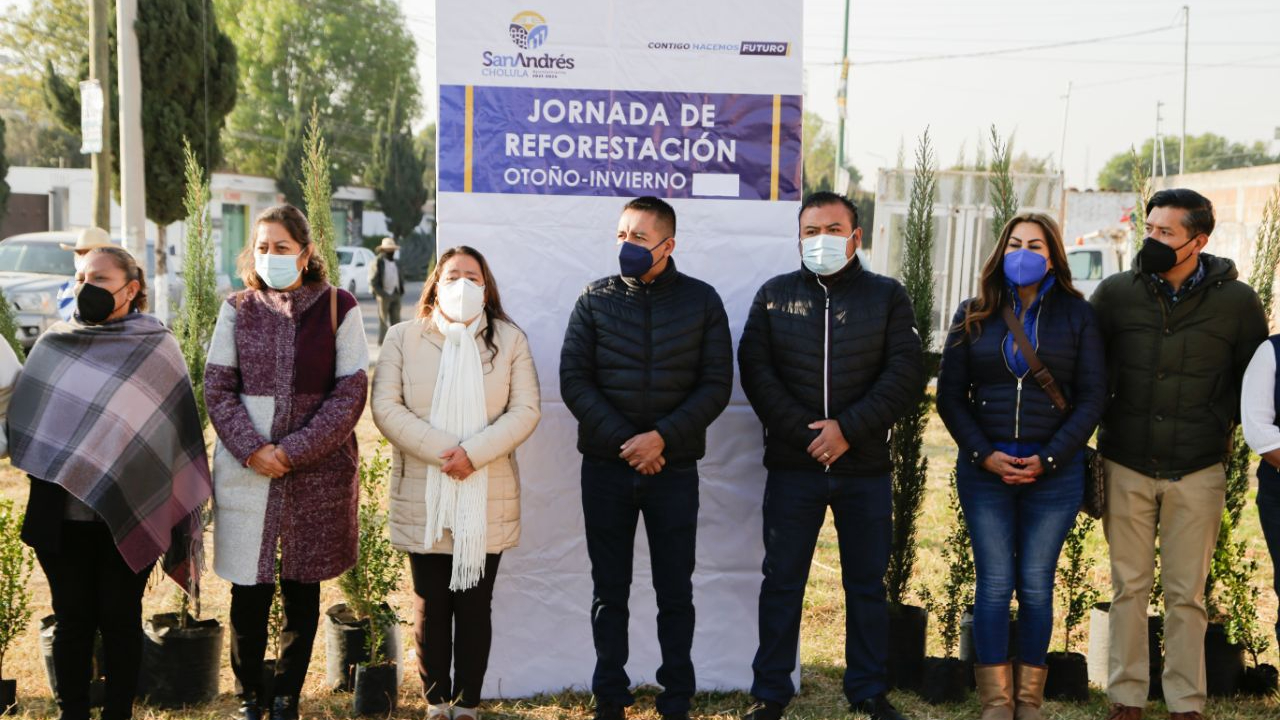 Con las Jornadas de Reforestación de San Andrés Cholula se han logrado plantar alrededor de mil 600 arboles