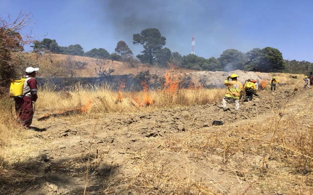 Puebla es la sexta entidada nivel nacional con mayor número de incendios forestales