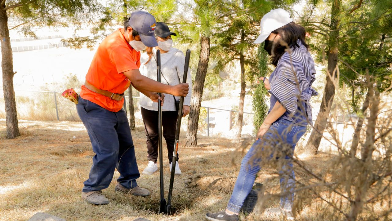 Ayuntamiento de San Andrés Cholula planta 100 árboles en el Cerro de San Miguel 