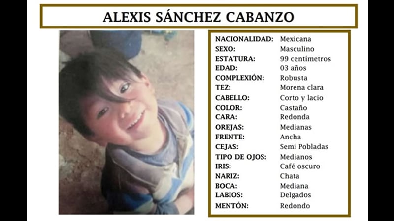 Ayuda a localizar a Alexis; fue robado durante un evento escolar por un desconocido
