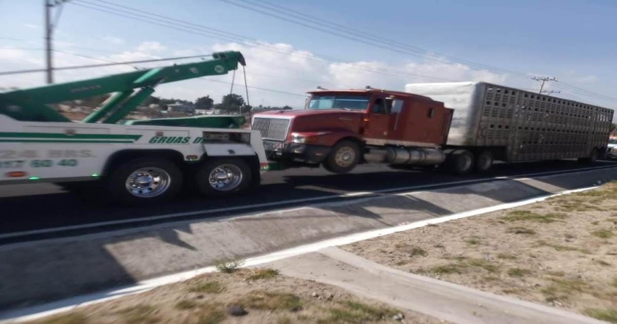 SSC recuperó siete vehículos robados