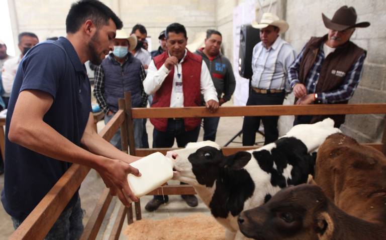 Sefoa impulsa colaboración entre ganaderos de Tlaxcala