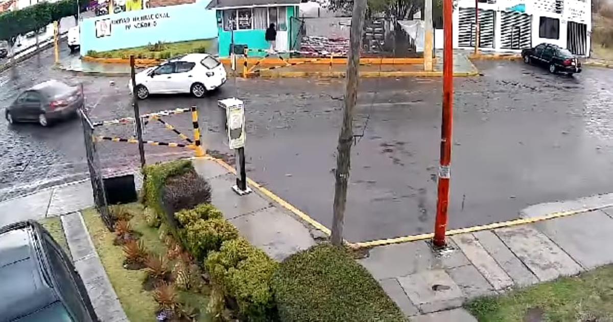 Delincuencia no perdona en la capital; se roban hasta las camas donadas para perritos de la calle