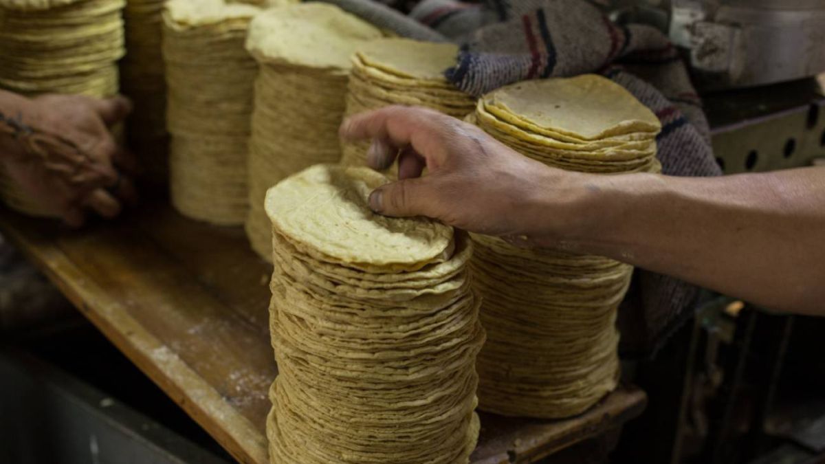 Comer una tortilla de calidad nixtamalizada y sin colorantes pronto será ley