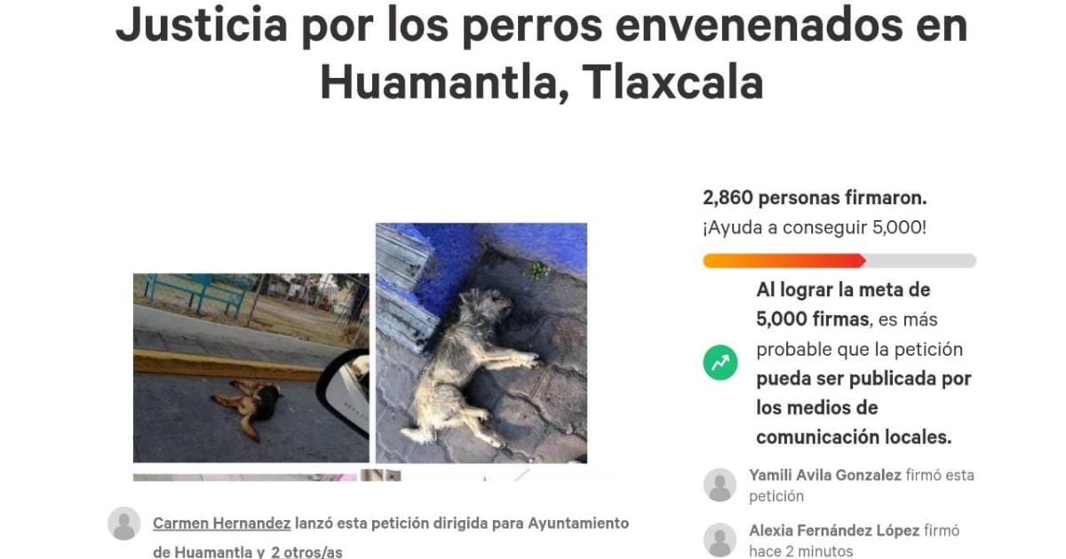 Exigen a Salvador Santos investigue ola de perros envenenados en Huamantla