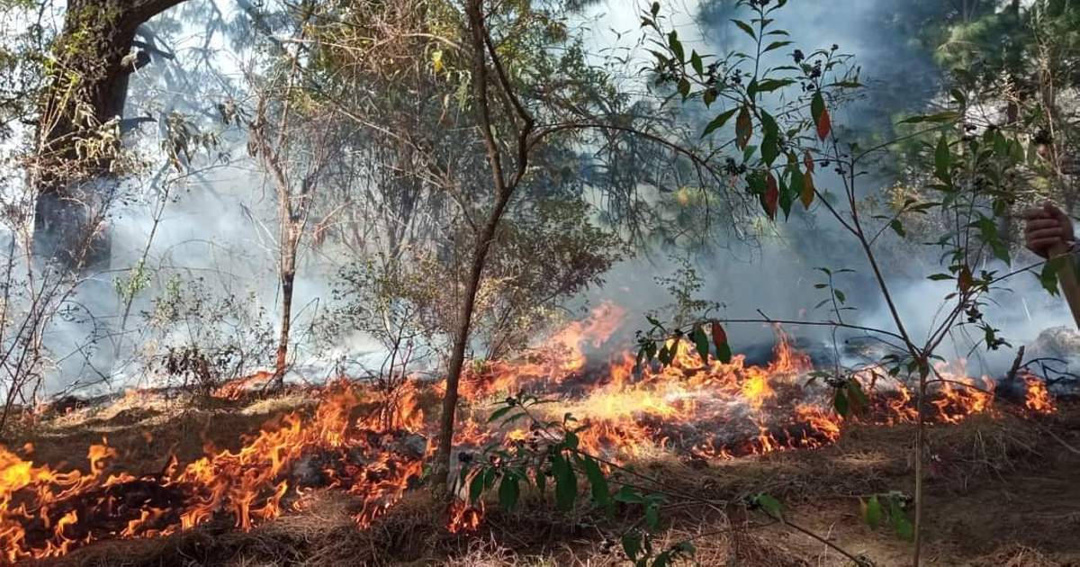 Intensa ola de calor provoca incendios en Tlaxcala