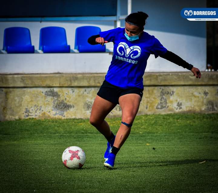 Borregas Puebla, listas para el regreso a las canchas 
