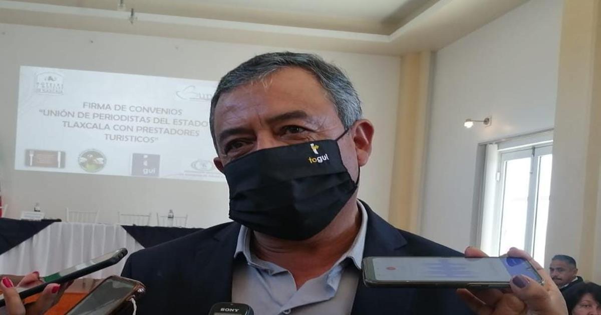 Gusano descortezador ya afecto el 30% de bosques en Calpulalpan y Nanacamilpa