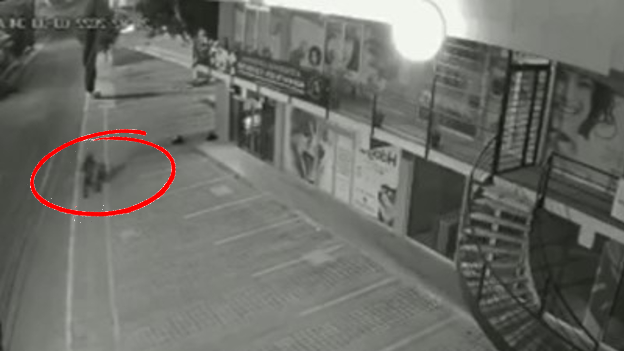 robo bicieltas san andres 2