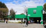 Incapacidades laborales son otorgadas en iniciativa privada de Tlaxcala por Covid