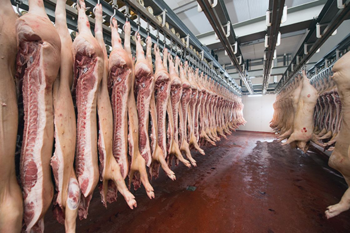 Ayuntamiento de Puebla buscará tres certificaciones para el Rastro Municipal