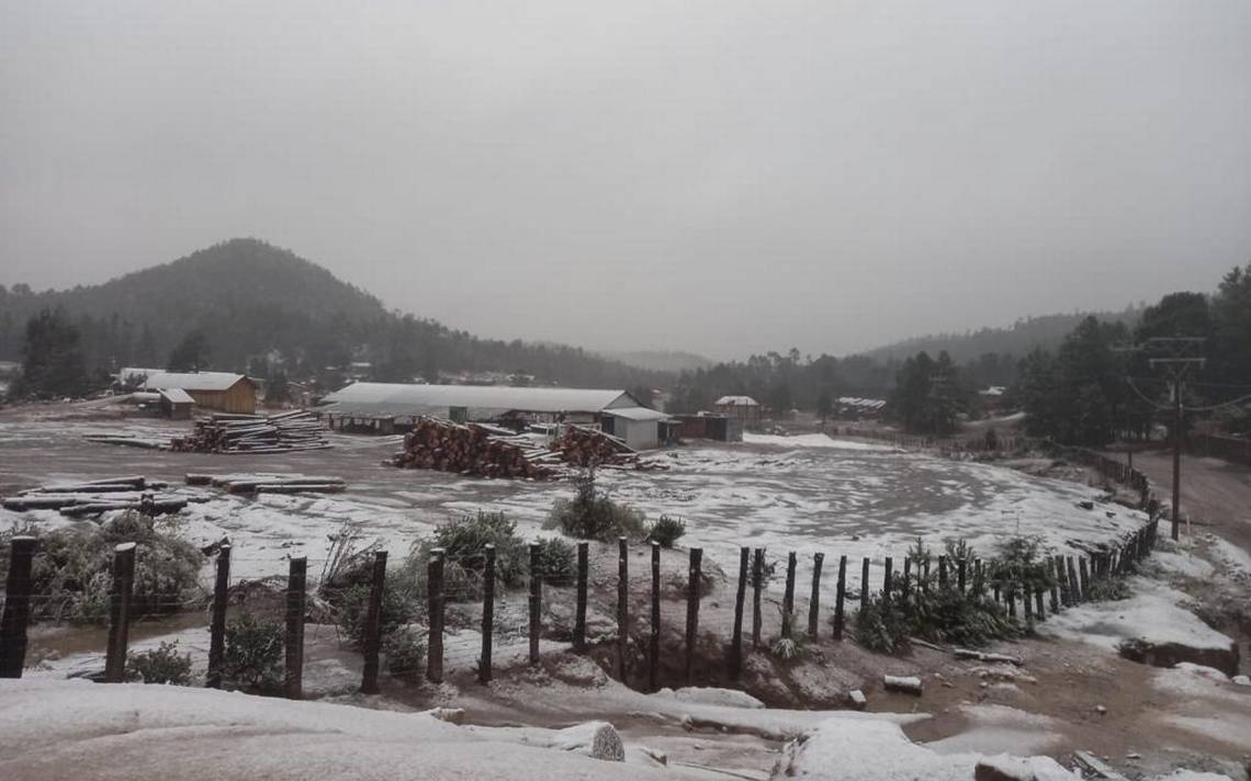 Frente Frío 28 y quinta tormenta invernal ‘congela’ Chihuahua, Coahuila, Durango, Sinaloa y Sonora
