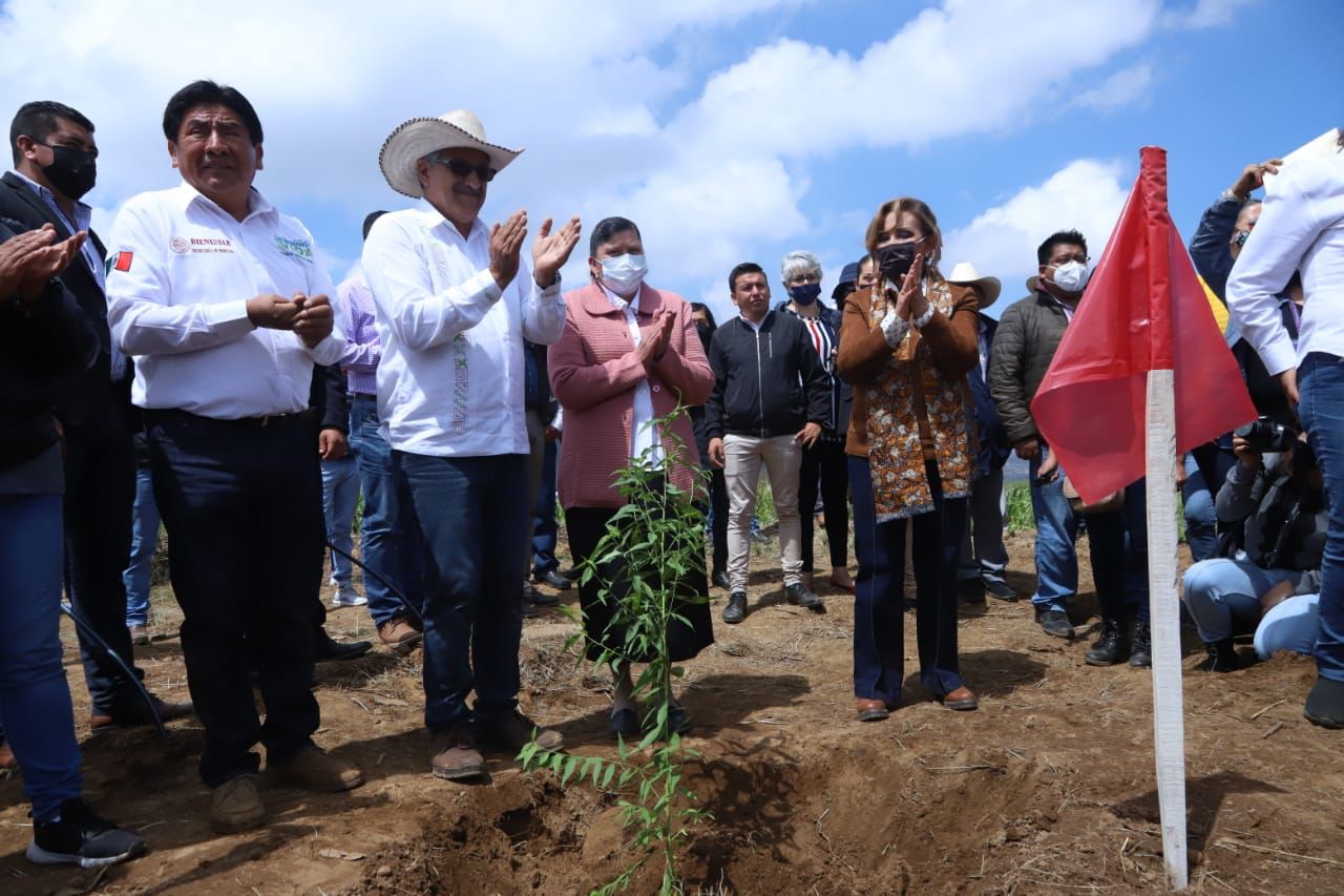 Encabezó Gobernadora Lorena Cuéllar 3ra Jornada Nacional De Siembra En Emiliano Zapata