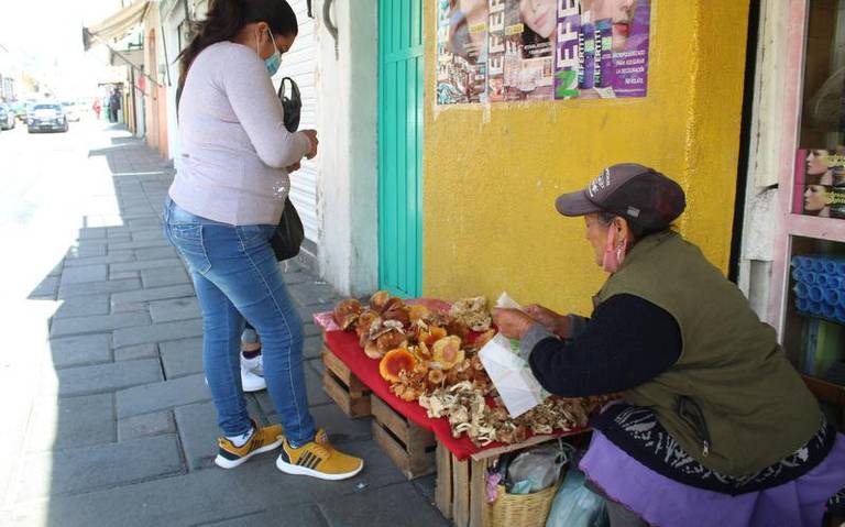 Protección Civil Huamantla recomienda precauciones al comer setas