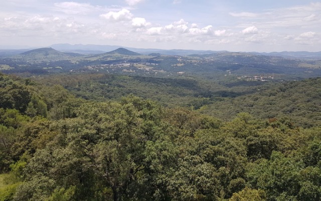 Aclara Barbosa que proceso para declarar área protegida a Flor del Bosque no ha concluido