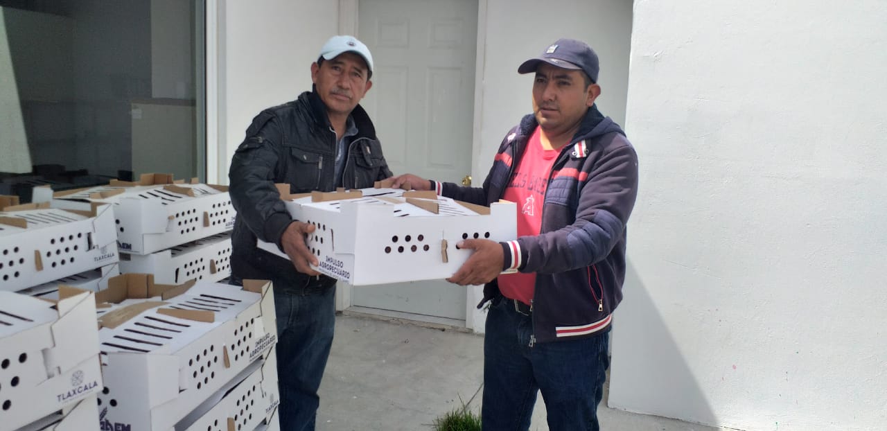 Entrega SIA los primeros 660 paquetes de especies menores en 11 municipios