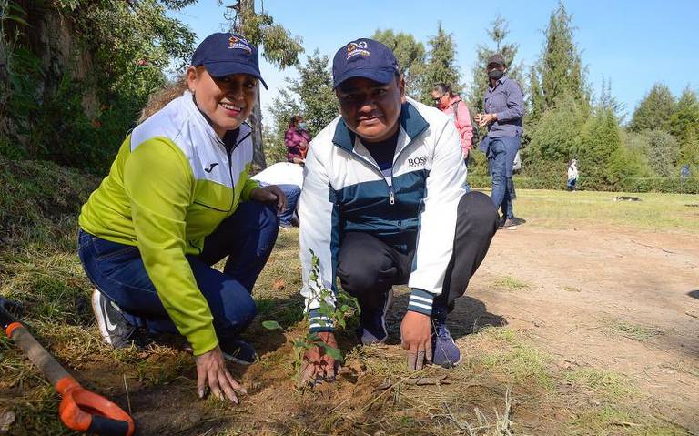 Alcalde de Apetatitlán inicia campaña de reforestación en el municipio