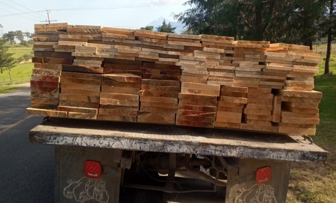 Inicia PGJE investigación por encubrimiento al transportar madera ilícita