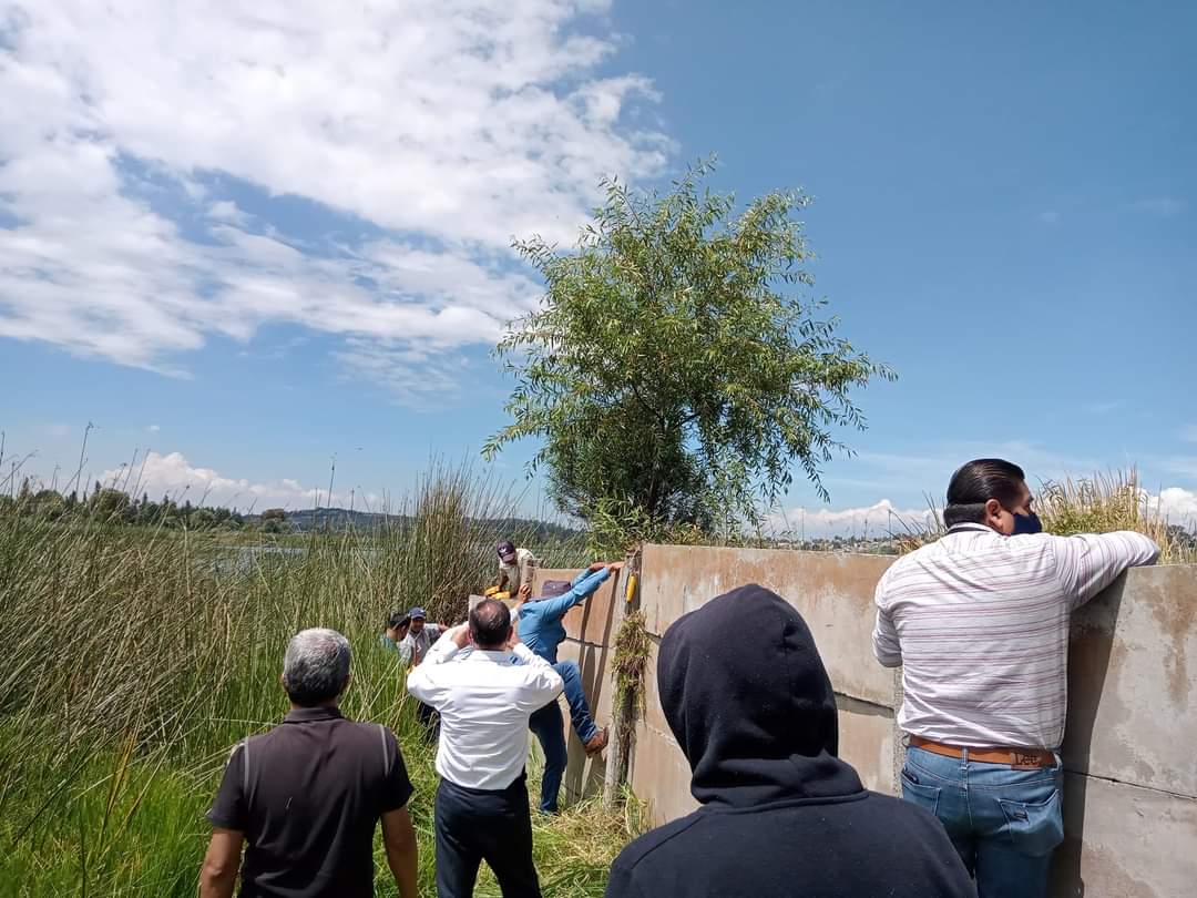 Logran retiro de bardas invasoras a la Laguna de Acuitlapilco
