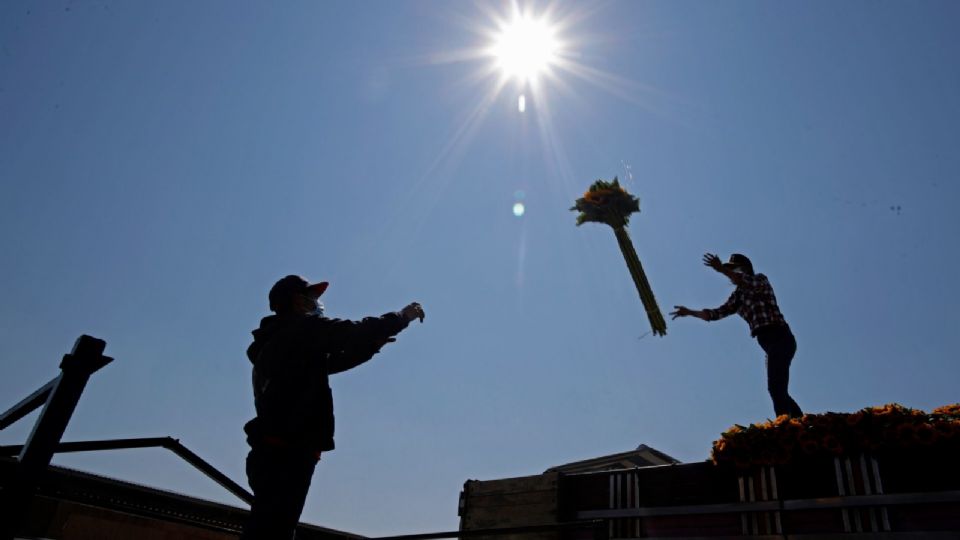 3 claves de cómo la economía mexicana ha logrado crecer en tiempos de crisis