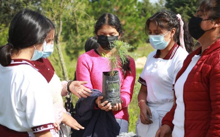 Ayuntamiento de Chiautempan plantará más de 5 mil árboles en al Malinche