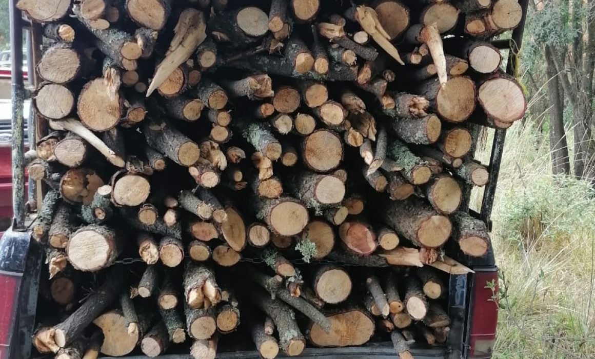 Asegura policía de montaña dos vehículos con materia prima forestal